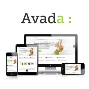 avada-theme-responsive-multi-purpose-theme Thung lũng web, Plugin, theme WordPress, plugin WordPress, WordPress plugins, Công cụ WordPress giá rẻ