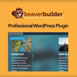 beaver-builder-professional-wordpress-plugin Thung lũng web, Plugin, theme WordPress, plugin WordPress, WordPress plugins, Công cụ WordPress giá rẻ