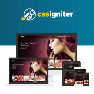 css-igniter-beaute-wordpress-theme Thung lũng web, Plugin, theme WordPress, plugin WordPress, WordPress plugins, Công cụ WordPress giá rẻ