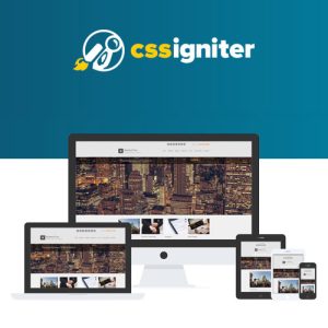 css-igniter-businesstwo-wordpress-theme Thung lũng web, Plugin, theme WordPress, plugin WordPress, WordPress plugins, Công cụ WordPress giá rẻ