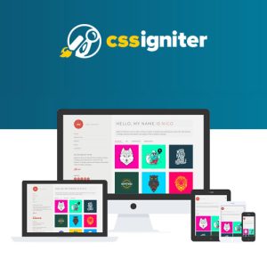 css-igniter-nico-wordpress-theme Thung lũng web, Plugin, theme WordPress, plugin WordPress, WordPress plugins, Công cụ WordPress giá rẻ