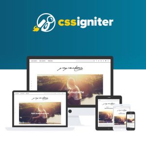 css-igniter-paperbag-wordpress-theme Thung lũng web, Plugin, theme WordPress, plugin WordPress, WordPress plugins, Công cụ WordPress giá rẻ