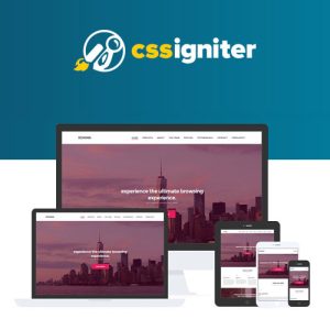 css-igniter-roxima-wordpress-theme Thung lũng web, Plugin, theme WordPress, plugin WordPress, WordPress plugins, Công cụ WordPress giá rẻ