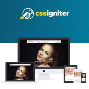 css-igniter-the-styler-wordpress-theme Thung lũng web, Plugin, theme WordPress, plugin WordPress, WordPress plugins, Công cụ WordPress giá rẻ