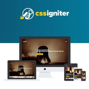 css-igniter-vignette-wordpress-theme Thung lũng web, Plugin, theme WordPress, plugin WordPress, WordPress plugins, Công cụ WordPress giá rẻ