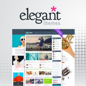 elegant-themes-extra-wordpress-theme Thung lũng web, Plugin, theme WordPress, plugin WordPress, WordPress plugins, Công cụ WordPress giá rẻ