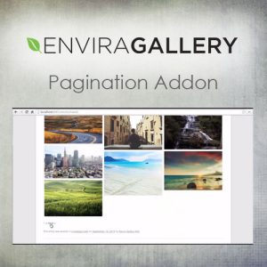 envira-gallery-e28093-pagination-addon Thung lũng web, Plugin, theme WordPress, plugin WordPress, WordPress plugins, Công cụ WordPress giá rẻ
