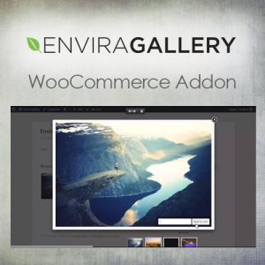 envira-gallery-e28093-woocommerce-addon Thung lũng web, Plugin, theme WordPress, plugin WordPress, WordPress plugins, Công cụ WordPress giá rẻ