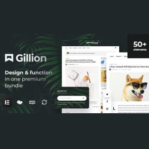 gillion-multi-concept-blog-magazine-shop-wordpress-amp-theme Thung lũng web, Plugin, theme WordPress, plugin WordPress, WordPress plugins, Công cụ WordPress giá rẻ