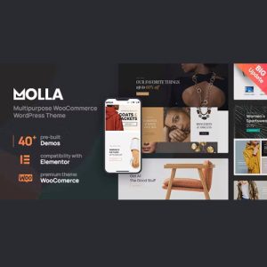 molla-multi-purpose-woocommerce-theme Thung lũng web, Plugin, theme WordPress, plugin WordPress, WordPress plugins, Công cụ WordPress giá rẻ