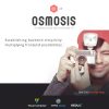 osmosis-responsive-multi-purpose-theme Thung lũng web, Plugin, theme WordPress, plugin WordPress, WordPress plugins, Công cụ WordPress giá rẻ