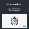 perfmatters-wordpress-plugin Thung lũng web, Plugin, theme WordPress, plugin WordPress, WordPress plugins, Công cụ WordPress giá rẻ