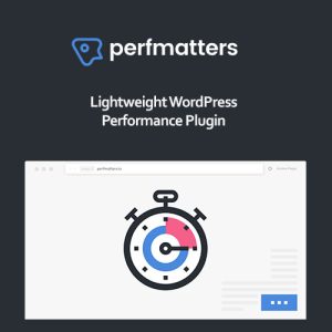 perfmatters-wordpress-plugin Thung lũng web, Plugin, theme WordPress, plugin WordPress, WordPress plugins, Công cụ WordPress giá rẻ