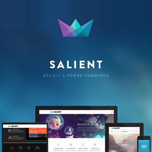 salient-responsive-multi-purpose-theme Thung lũng web, Plugin, theme WordPress, plugin WordPress, WordPress plugins, Công cụ WordPress giá rẻ