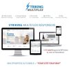 striking-multiflex-ecommerce-responsive-wp-theme Thung lũng web, Plugin, theme WordPress, plugin WordPress, WordPress plugins, Công cụ WordPress giá rẻ