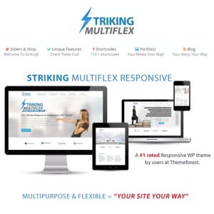 striking-multiflex-ecommerce-responsive-wp-theme Thung lũng web, Plugin, theme WordPress, plugin WordPress, WordPress plugins, Công cụ WordPress giá rẻ