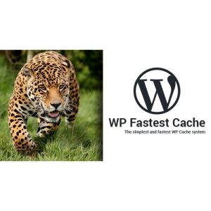 wp-fastest-cache-wordpress-plugin-premium Thung lũng web, Plugin, theme WordPress, plugin WordPress, WordPress plugins, Công cụ WordPress giá rẻ